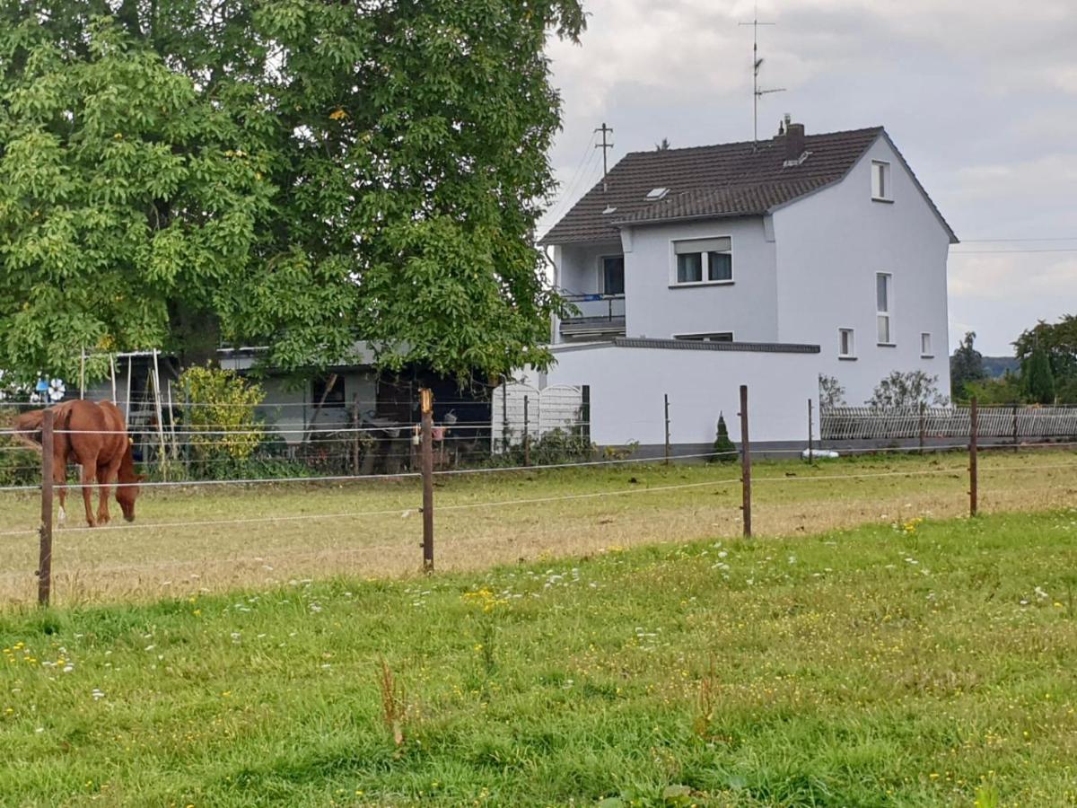 Haus Im Gruenen Villa บอร์นไฮม์ ภายนอก รูปภาพ