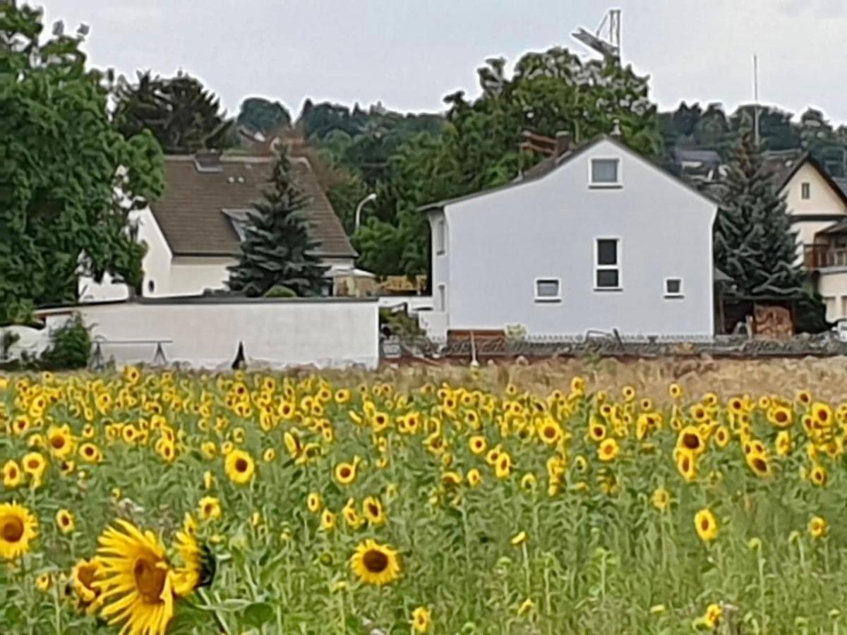 Haus Im Gruenen Villa บอร์นไฮม์ ภายนอก รูปภาพ