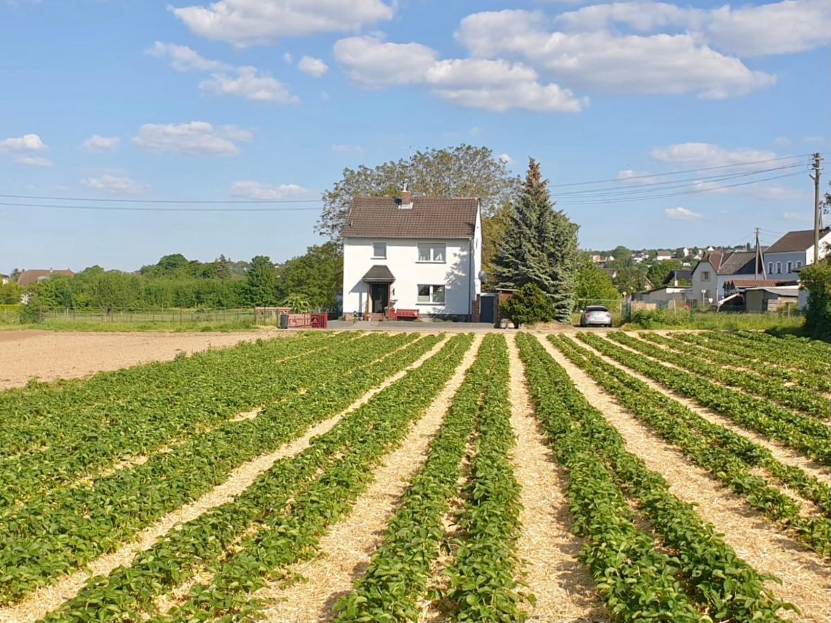 Haus Im Gruenen Villa บอร์นไฮม์ ภายนอก รูปภาพ